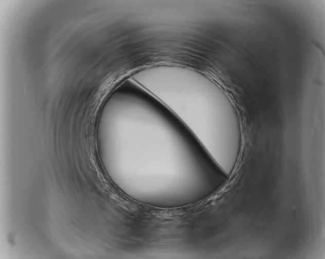 X0000099530241200805160732