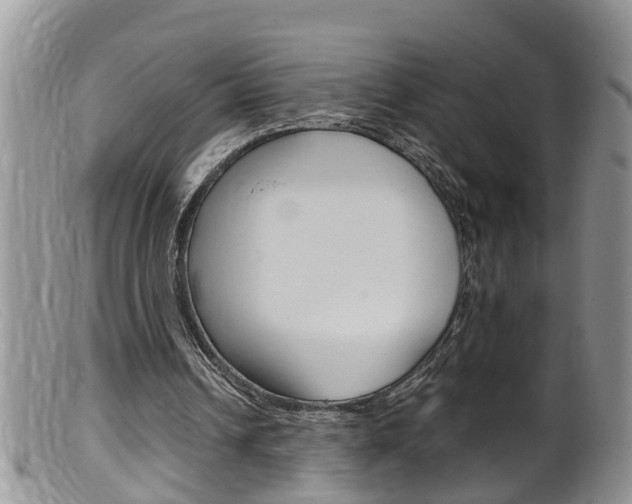 X0000099530242200805160732