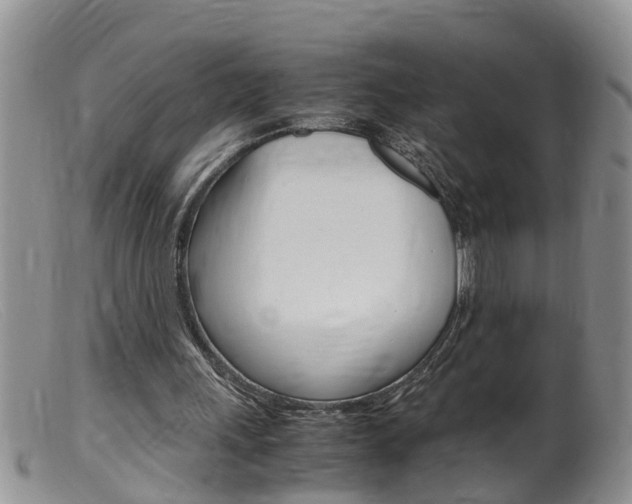 X0000099530243200805160732
