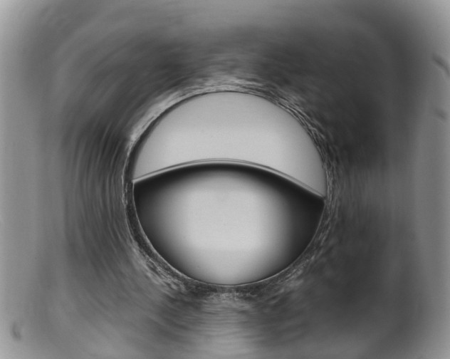 X0000099530244200805160732