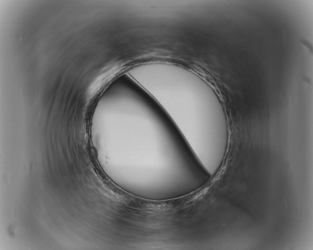 X0000099530245200805160732