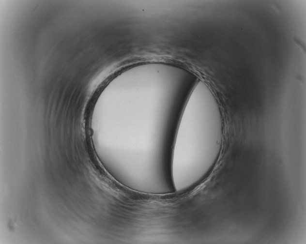 X0000099530246200805160732