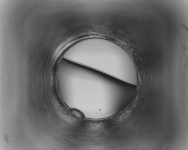 X0000099530247200805160732