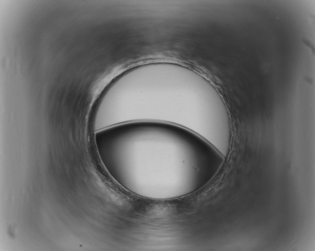 X0000099530248200805160732