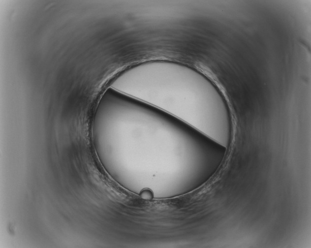 X0000099530249200805160732