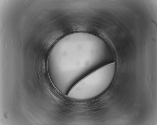 X0000099530251200805160732