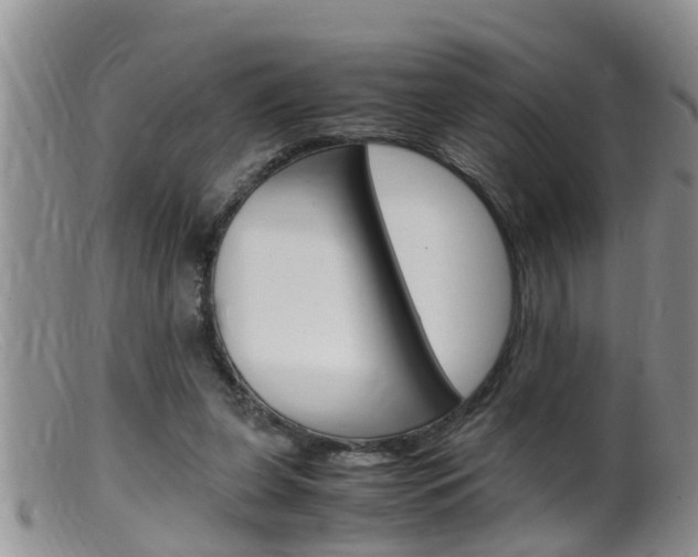 X0000099530255200805160732
