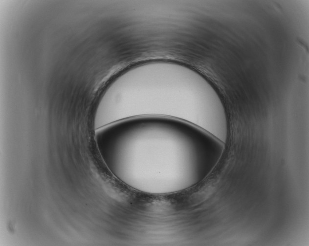 X0000099530256200805160732