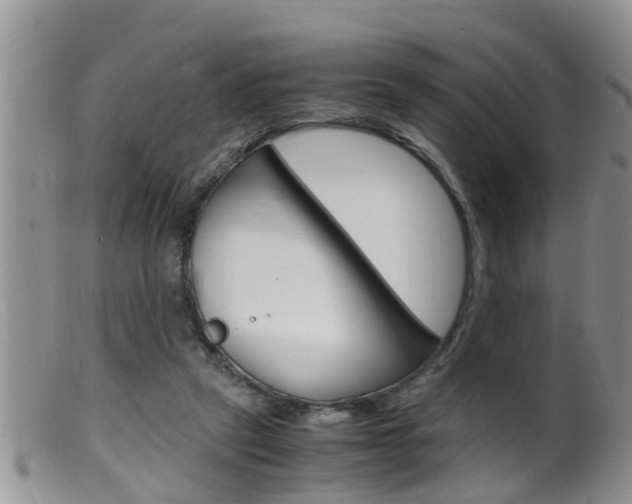 X0000099530257200805160732