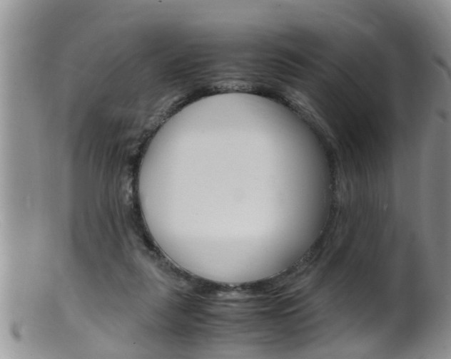 X0000099530259200805160732