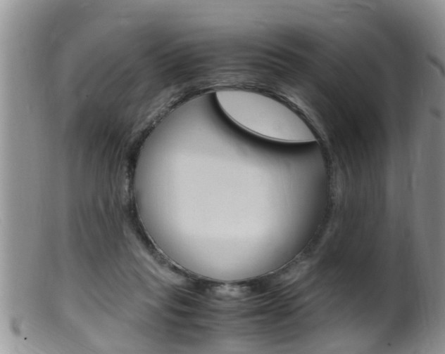 X0000099530261200805160732