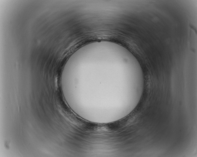X0000099530262200805160732