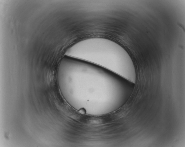 X0000099530263200805160732