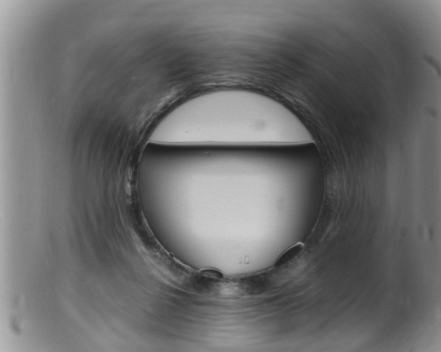 X0000099530264200805160732