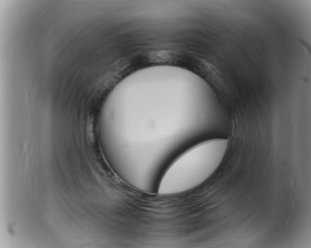 X0000099530267200805160732