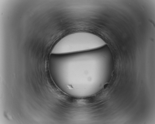 X0000099530268200805160732