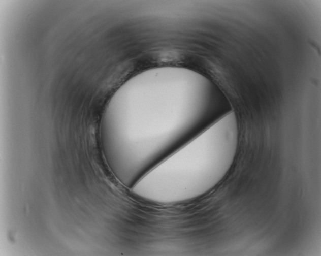 X0000099530269200805160732