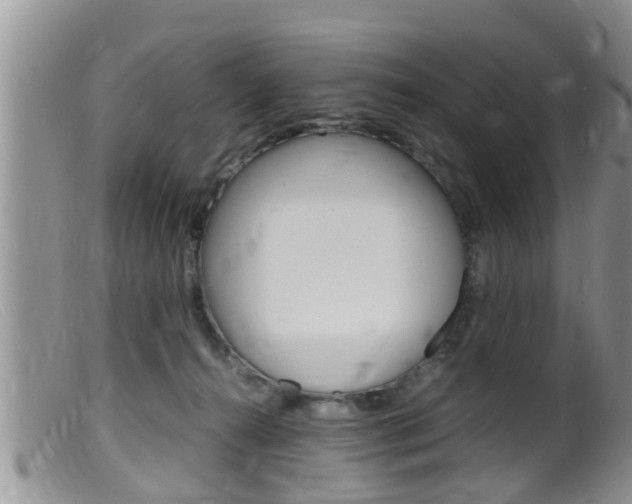 X0000099530272200805160732