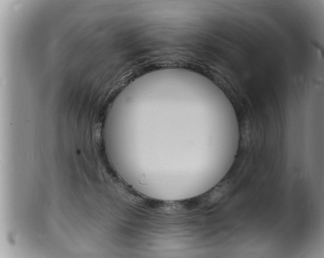 X0000099530278200805160732