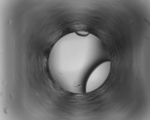 X0000099530279200805160732