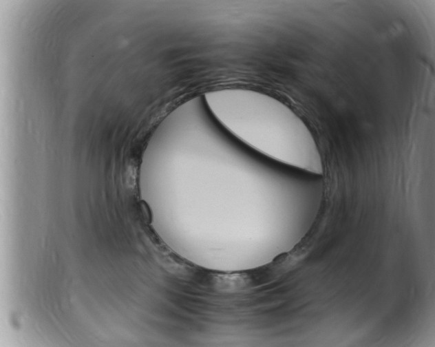 X0000099530281200805160732