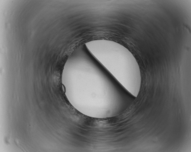 X0000099530283200805160732