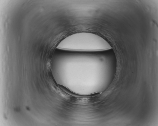 X0000099530288200805160732