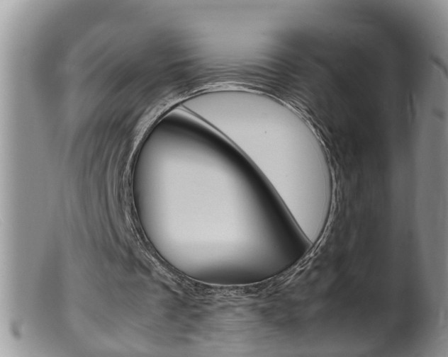 X0000099530289200805160732