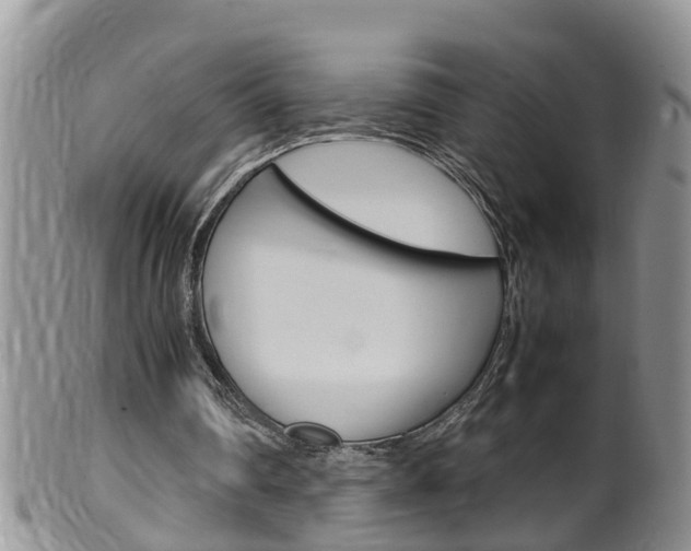 X0000099530290200805160732