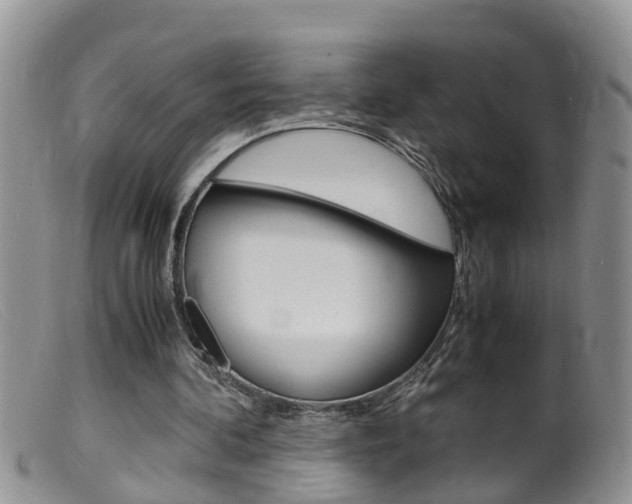 X0000099530292200805160732