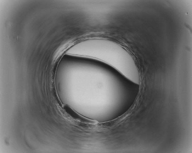 X0000099530293200805160732