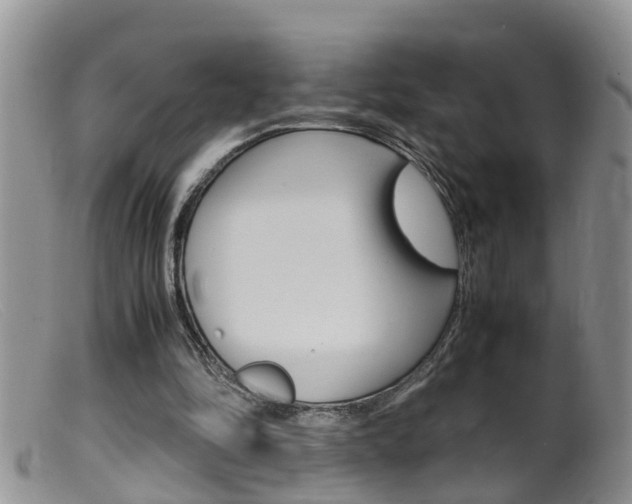 X0000099530294200805160732