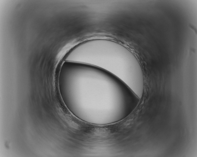 X0000099530296200805160732