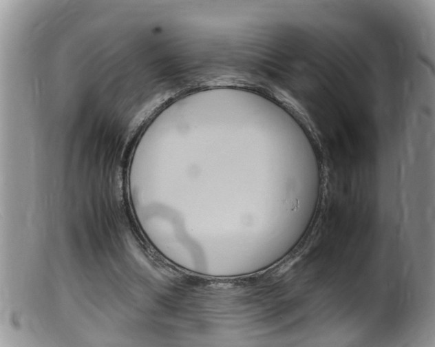 X0000099530298200805160732