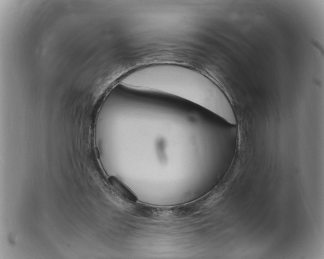 X0000099530301200805160732