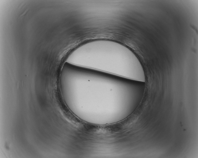 X0000099530303200805160732