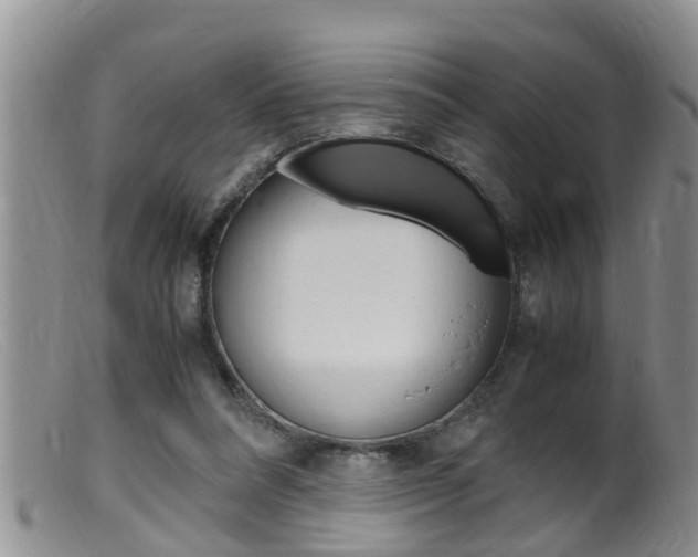 X0000099530304200805160732