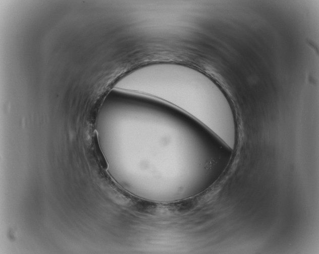 X0000099530305200805160732