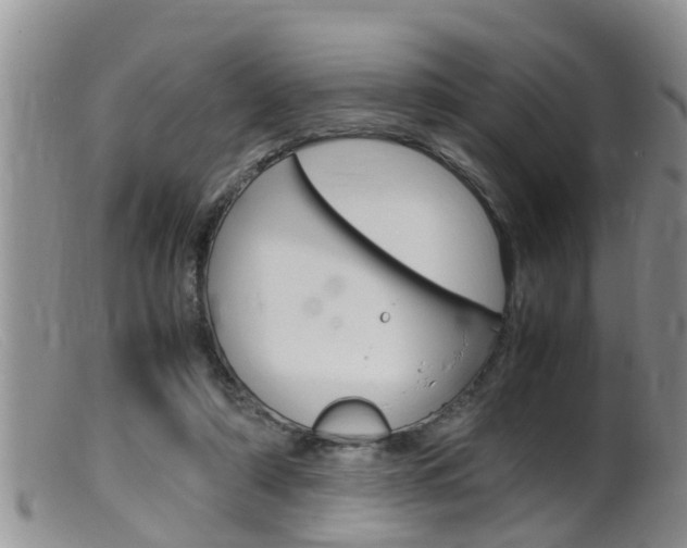 X0000099530306200805160732