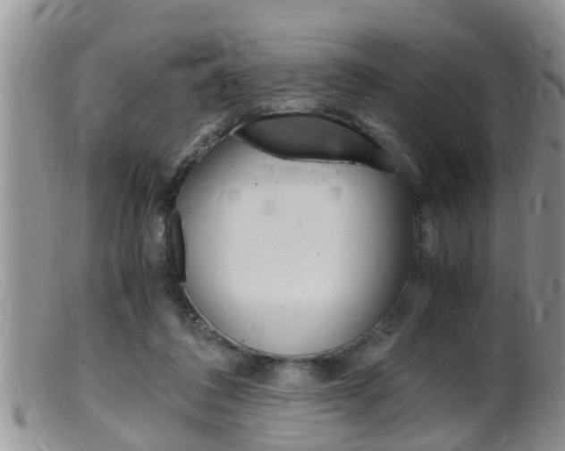 X0000099530308200805160732