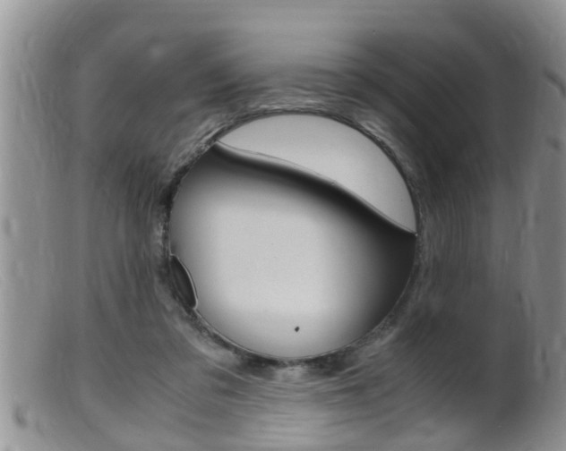 X0000099530309200805160731