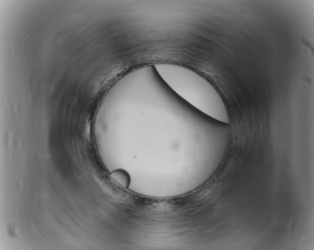 X0000099530310200805160731
