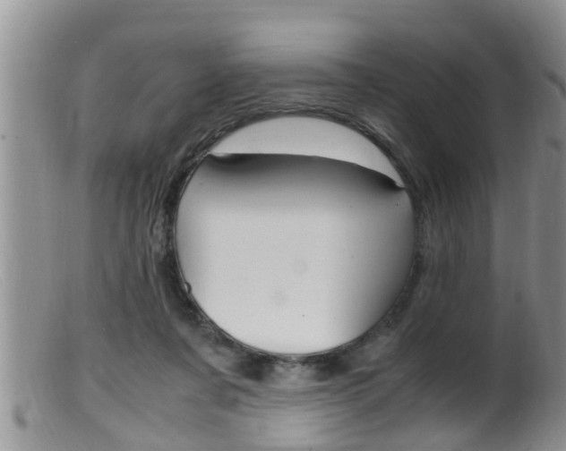 X0000099530311200805160731