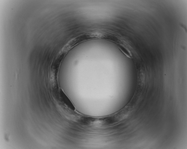 X0000099530312200805160731