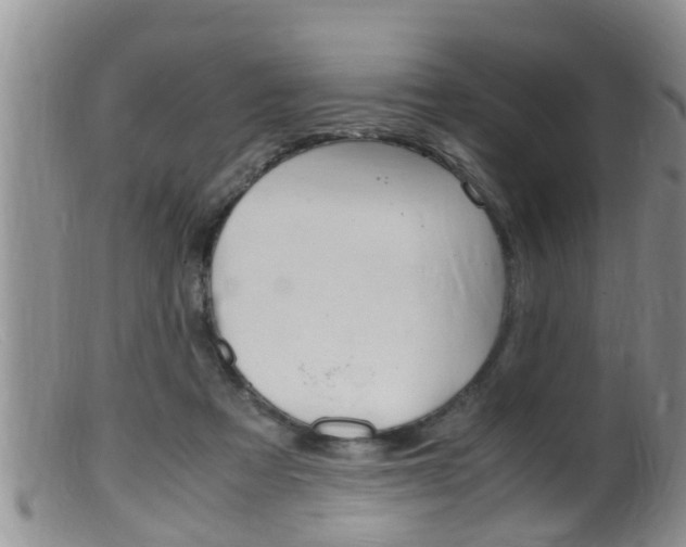 X0000099530313200805160731