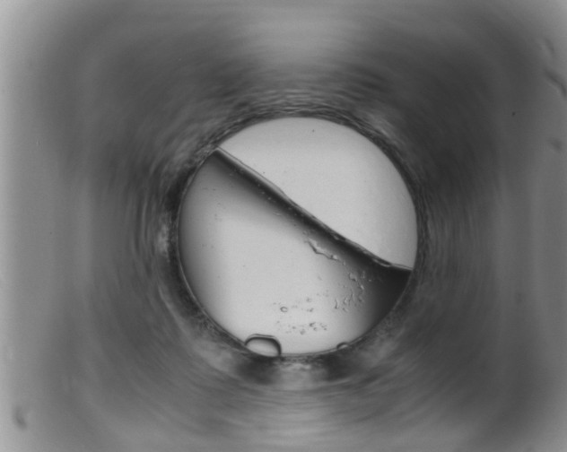 X0000099530315200805160731