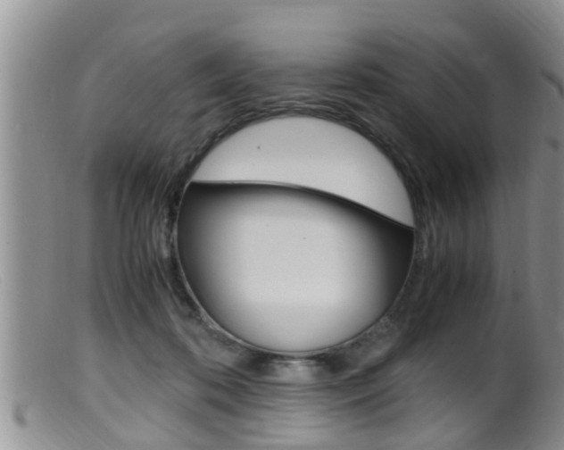 X0000099530316200805160731