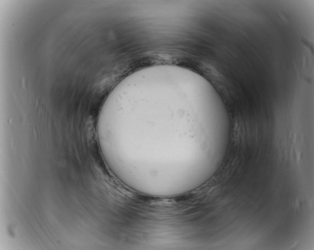 X0000099530318200805160731
