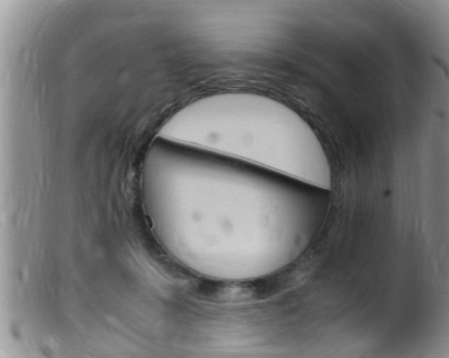 X0000099530319200805160731