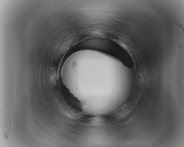 X0000099530320200805160731